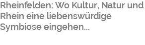 Rheinfelden: Wo Kultur, Natur und Rhein eine liebenswürdige Symbiose eingehen...